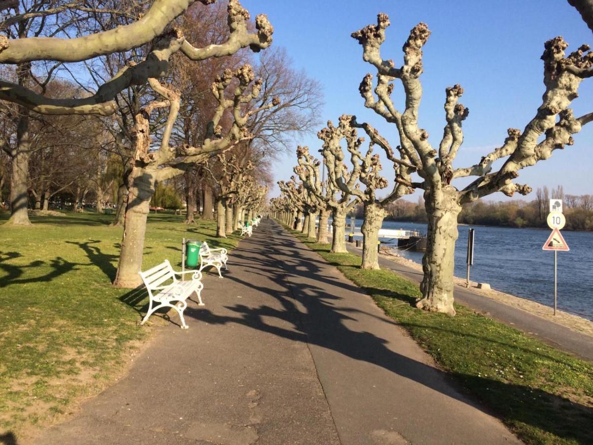 Hotel Krone Ruedesheim روديسهايم ام رين المظهر الخارجي الصورة