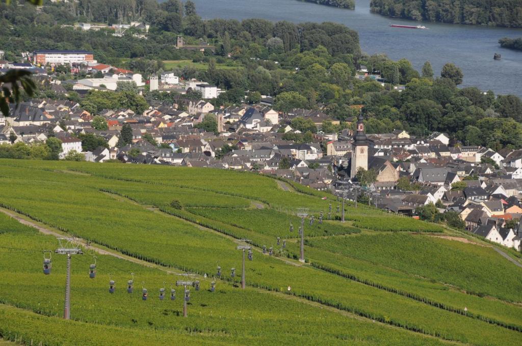 Hotel Krone Ruedesheim روديسهايم ام رين المظهر الخارجي الصورة