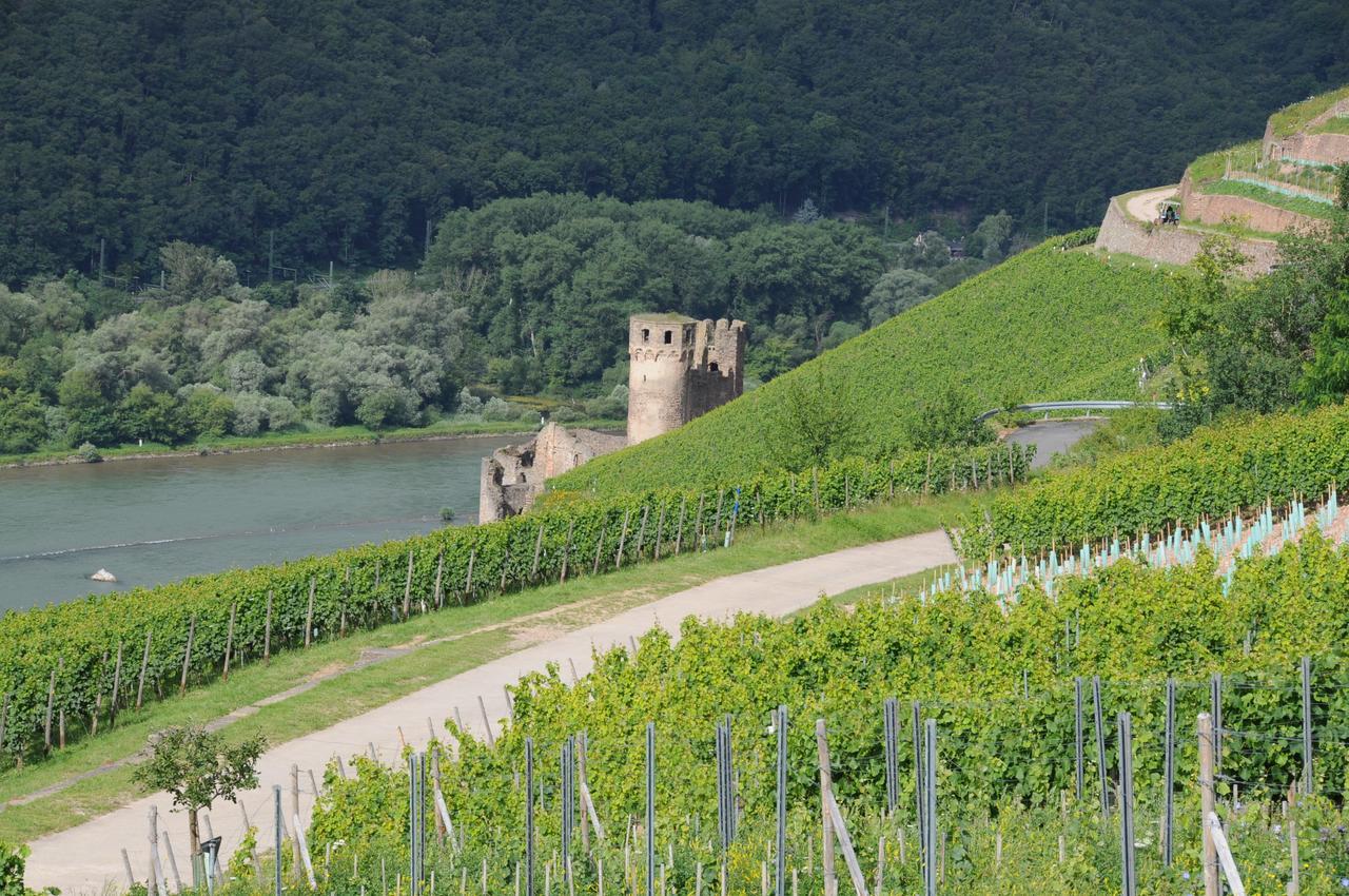 Hotel Krone Ruedesheim روديسهايم ام رين المظهر الخارجي الصورة